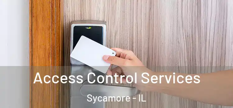 Access Control Services Sycamore - IL