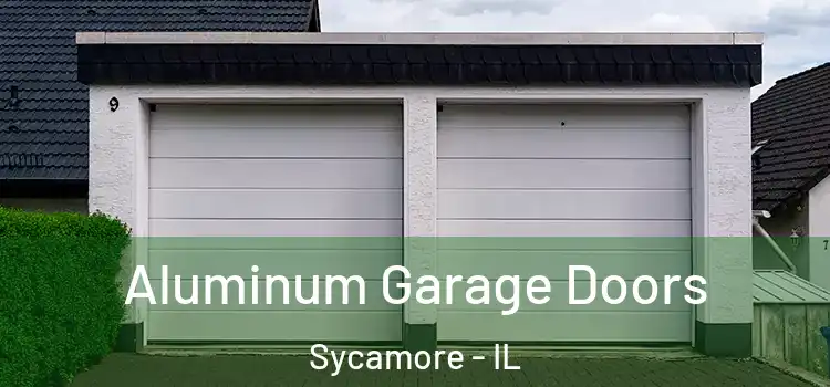  Aluminum Garage Doors Sycamore - IL