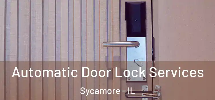 Automatic Door Lock Services Sycamore - IL
