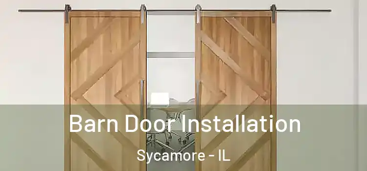  Barn Door Installation Sycamore - IL