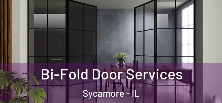  Bi-Fold Door Services Sycamore - IL