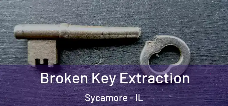  Broken Key Extraction Sycamore - IL