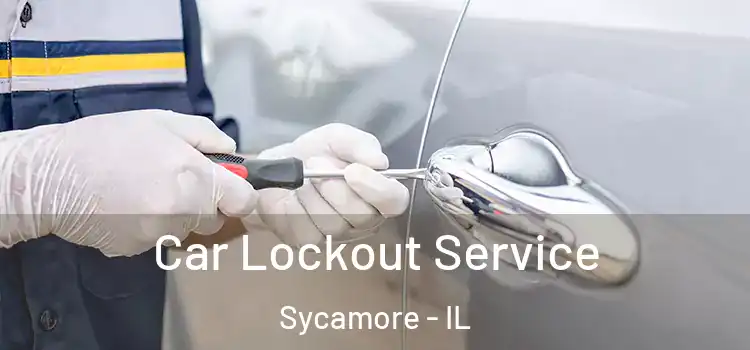  Car Lockout Service Sycamore - IL