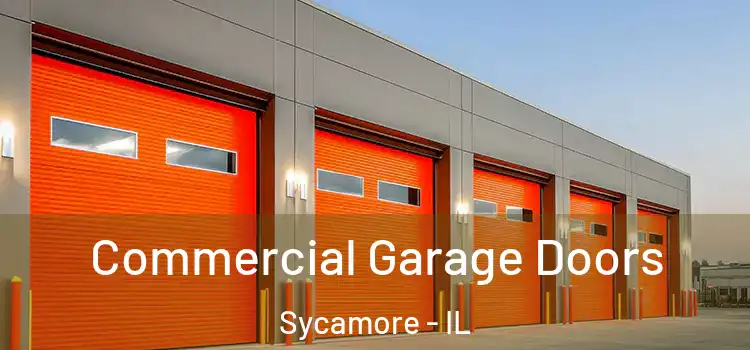 Commercial Garage Doors Sycamore - IL