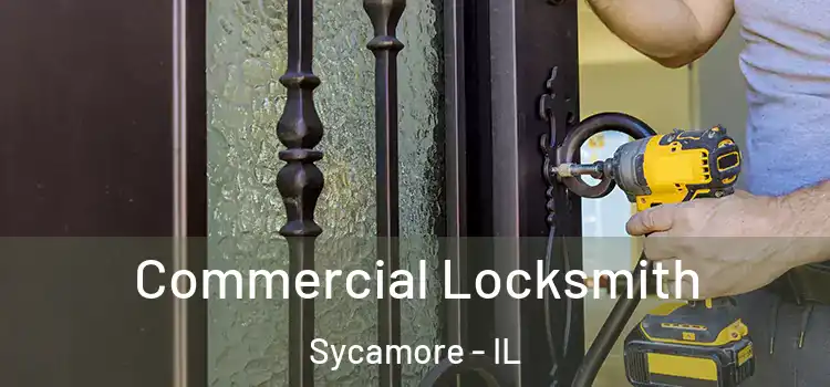  Commercial Locksmith Sycamore - IL
