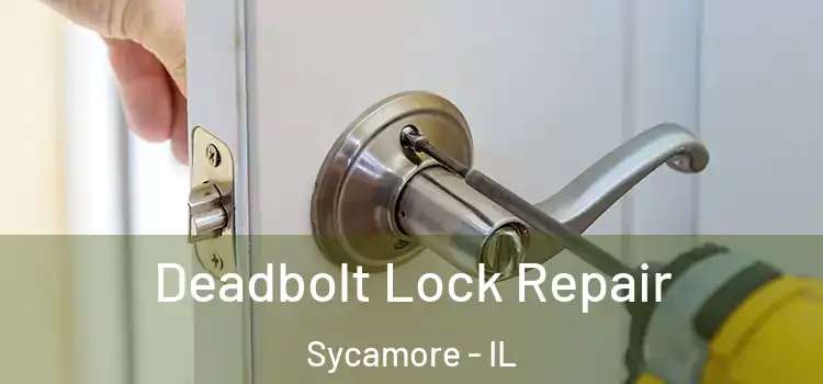  Deadbolt Lock Repair Sycamore - IL