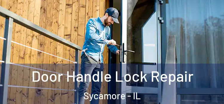  Door Handle Lock Repair Sycamore - IL