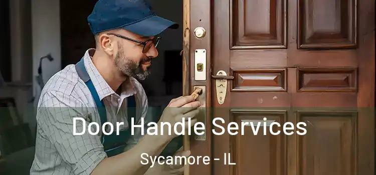  Door Handle Services Sycamore - IL