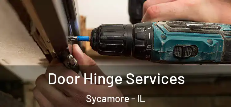  Door Hinge Services Sycamore - IL
