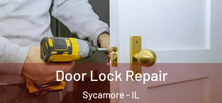  Door Lock Repair Sycamore - IL