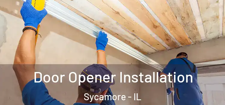  Door Opener Installation Sycamore - IL