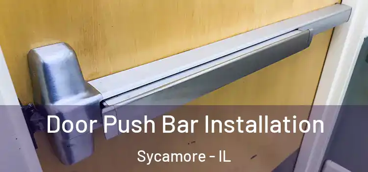  Door Push Bar Installation Sycamore - IL