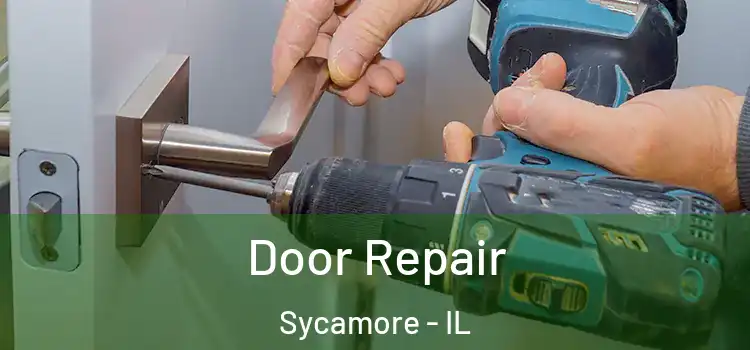  Door Repair Sycamore - IL