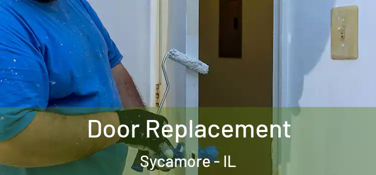 Door Replacement Sycamore - IL