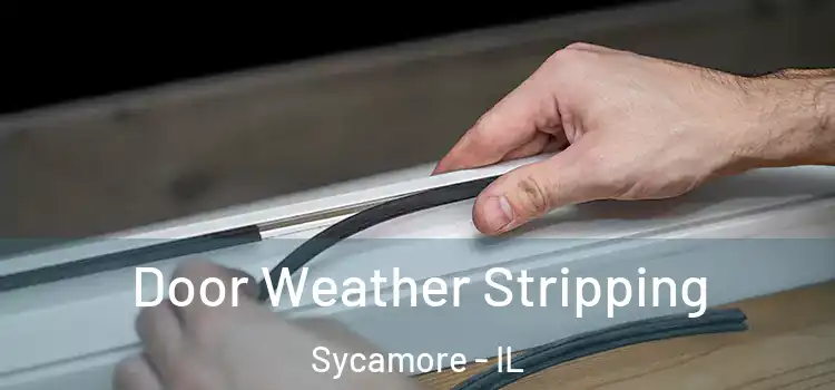  Door Weather Stripping Sycamore - IL