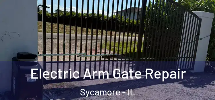  Electric Arm Gate Repair Sycamore - IL