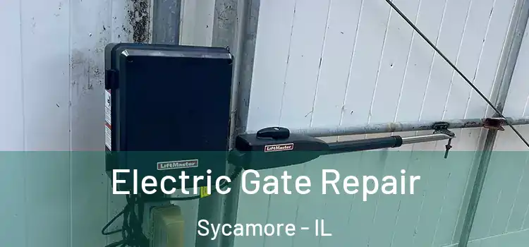  Electric Gate Repair Sycamore - IL
