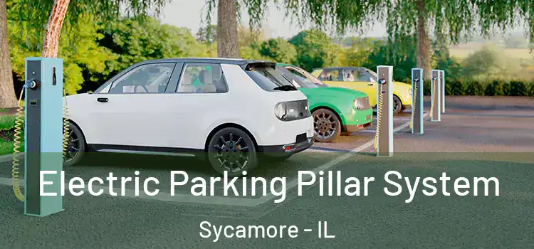  Electric Parking Pillar System Sycamore - IL
