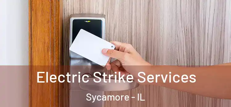  Electric Strike Services Sycamore - IL