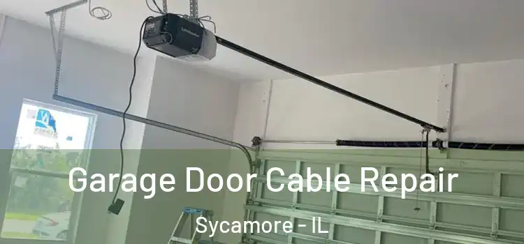  Garage Door Cable Repair Sycamore - IL