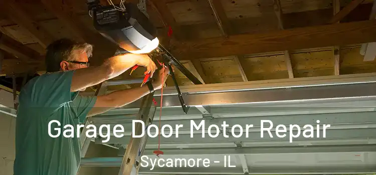  Garage Door Motor Repair Sycamore - IL
