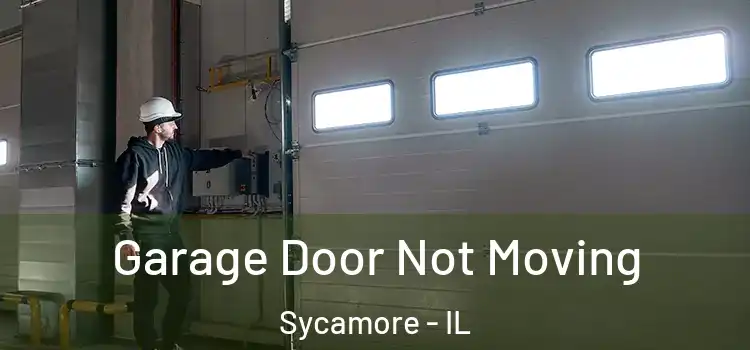  Garage Door Not Moving Sycamore - IL