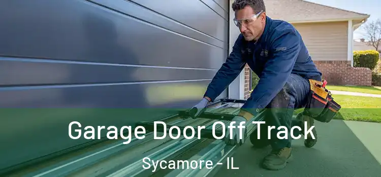  Garage Door Off Track Sycamore - IL