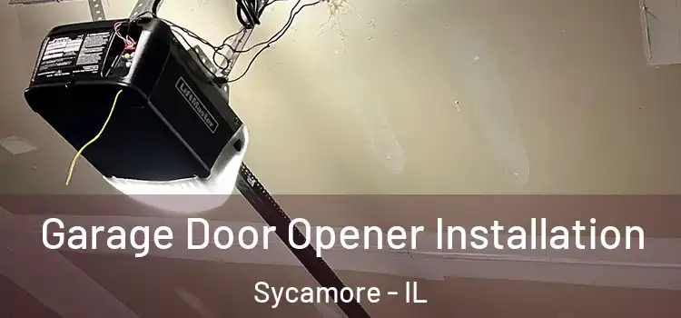  Garage Door Opener Installation Sycamore - IL