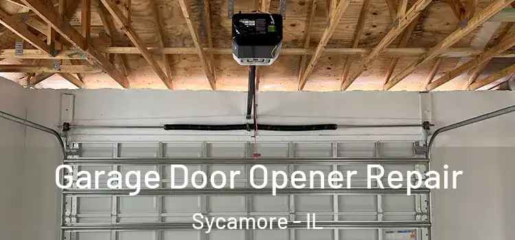  Garage Door Opener Repair Sycamore - IL