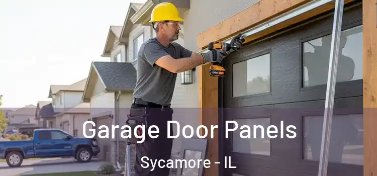  Garage Door Panels Sycamore - IL