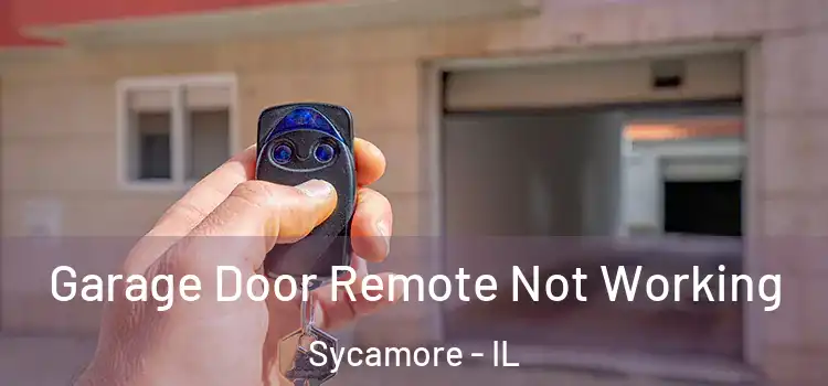  Garage Door Remote Not Working Sycamore - IL