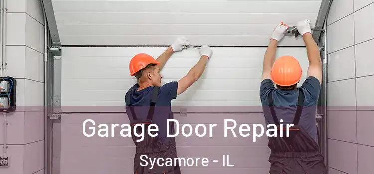  Garage Door Repair Sycamore - IL