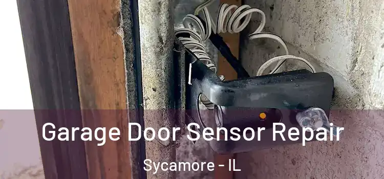  Garage Door Sensor Repair Sycamore - IL