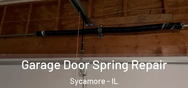  Garage Door Spring Repair Sycamore - IL