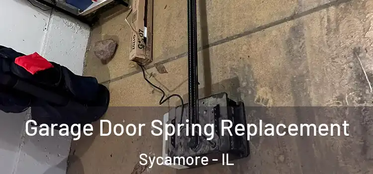  Garage Door Spring Replacement Sycamore - IL