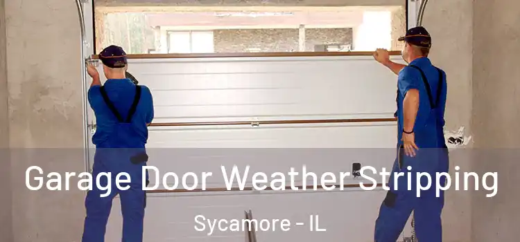  Garage Door Weather Stripping Sycamore - IL
