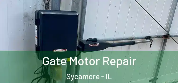 Gate Motor Repair Sycamore - IL