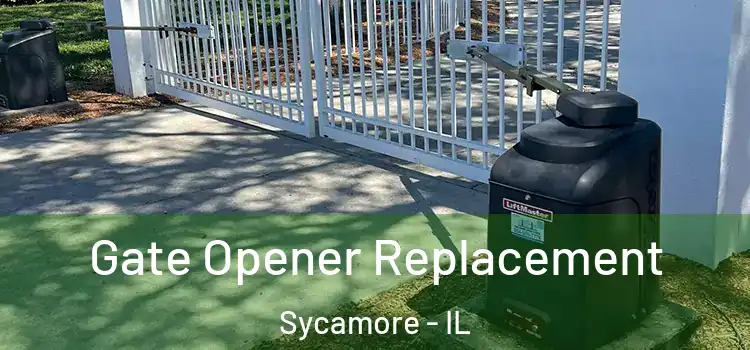  Gate Opener Replacement Sycamore - IL