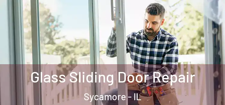  Glass Sliding Door Repair Sycamore - IL