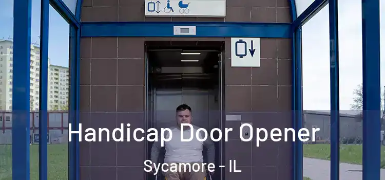  Handicap Door Opener Sycamore - IL