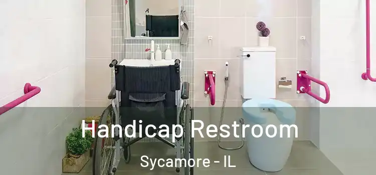  Handicap Restroom Sycamore - IL