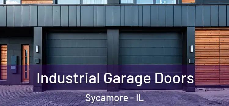  Industrial Garage Doors Sycamore - IL