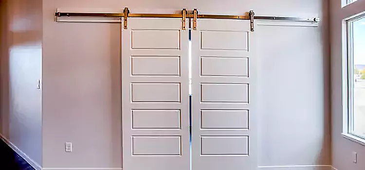 Glass Barn Door with Installation Hardware Kit Sycamore