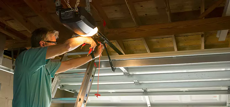 Garage Door Opener Sales and Installation Sycamore