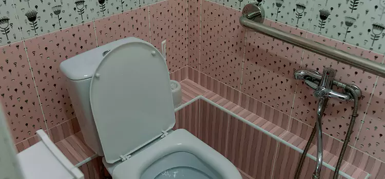 Meeting Diverse Needs With Accessible Restroom Solutions in Sycamore, IL