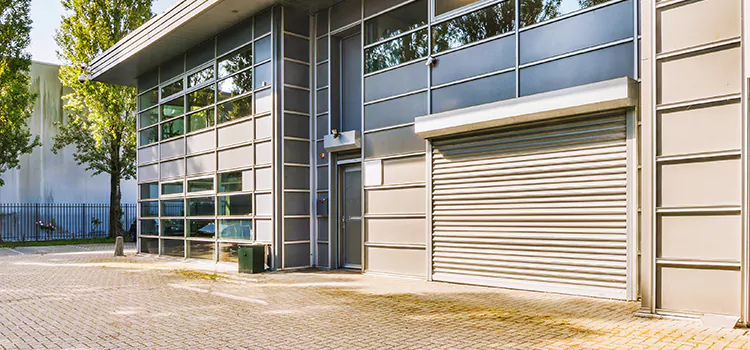 Electric Roller Garage Doors Sycamore