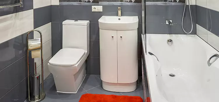Hansgrohe Shaving Mirror Sycamore