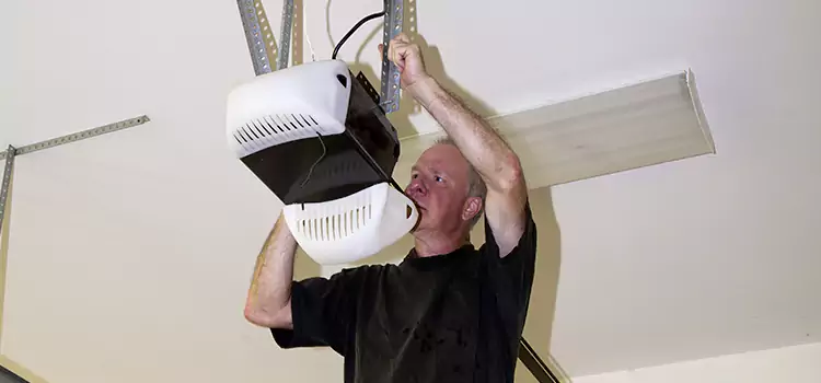 Garage Door Opener Service Sycamore