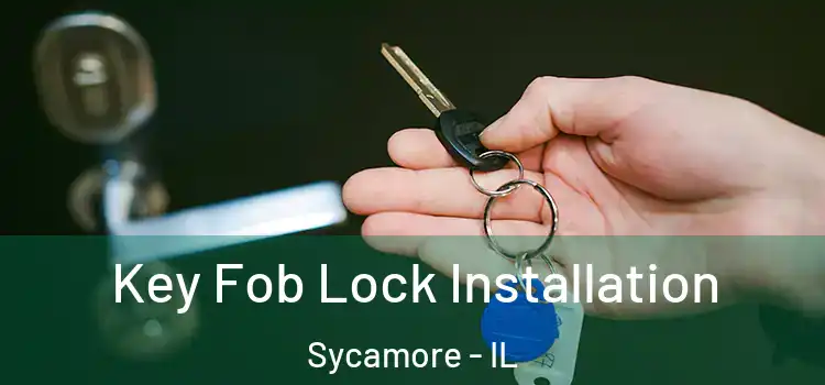  Key Fob Lock Installation Sycamore - IL