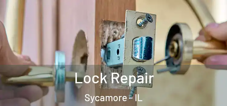  Lock Repair Sycamore - IL